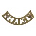 Welch Regiment (WELCH) Shoulder Title
