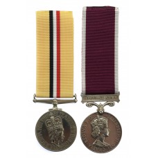 Iraq Medal & Army Long Service & Good Conduct Medal Pair 
