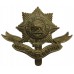 Worcestershire Regiment Cap Badge