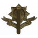 Worcestershire Regiment Cap Badge