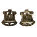 Pair of Devon & Dorset Regiment Anodised (Staybrite) Collar Badges