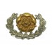 Hampshire Regiment Bi-Metal Collar Badge