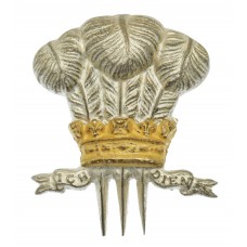 10th Royal Hussars (Prince of Wales's Own) Officer's Beret and Tent Badge