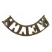 Welch Regiment (WELCH) Shoulder Title