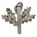 South Notts Hussars Anodised (Staybrite) Cap Badge