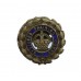 Officer's Training Corps (O.T.C.) Enamelled Lapel Badge