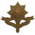 Worcestershire Regiment Cap Badge