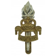 Royal Army Educational Corps (R.A.E.C.) Bi-metal Cap Badge - Queen's Crown