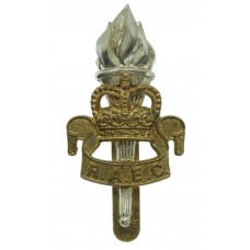 Royal Army Educational Corps (R.A.E.C.) Bi-metal Cap Badge - Quee