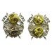 Pair of Royal Australian Armoured Corps Collar Badges - Queen's Crown
