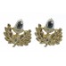 Pair of Cheshire Regiment Anodised (Staybrite) Collar Badges