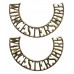 Pair of Worcestershire Regiment (WORCESTERSHIRE) Anodised (Staybrite) Shoulder Titles