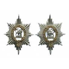 Pair of Worcestershire Regiment Anodised (Staybrite) Collar Badge