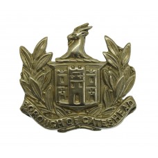 Gateshead Borough Police Small Coat of Arms Helmet Plate