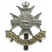 Notts & Derby Regiment (Sherwood Foresters) Anodised (Staybrite) Cap Badge - Queen's Crown