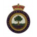 Worcestershire Special Constabulary Enamelled Lapel Badge