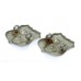 Pair of Shrewsbury Borough Police Collar Badges