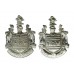 Pair of Eastbourne Borough Police Collar Badges