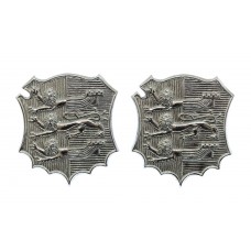 Pair of Hastings Borough Police Collar Badges