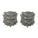 Pair of Hastings Borough Police Collar Badges