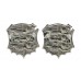 Pair of Hastings Borough Police Collar Badges