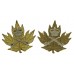 Pair of Canadian Army Physical Training Corps Collar Badges - Queen's Crown