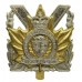 Canadian Perth Regiment Cap Badge - Queen's Crown