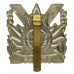 Canadian Perth Regiment Cap Badge - Queen's Crown