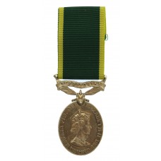 EIIR Territorial Efficiency Medal - Pte. A. Bambrick, Royal Army 