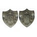 Pair of Burnley Borough Police Collar Badges