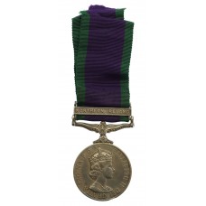 Campaign Service Medal (Clasp - Northern Ireland) - Pte. R.F. Hol