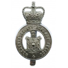 Rochdale County Borough Police Cap Badge - Queen's Crown