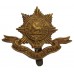 Worcestershire Regiment Cap Badge