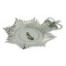 Metropolitan Police Helmet Plate - Queen's Crown
