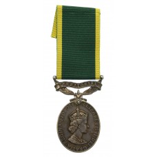 EIIR Territorial Efficiency Medal - Pte. J.J. Thompson, Royal Mil