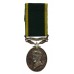 George VI Territorial Efficiency Medal - Pte. J. Robinson, Border Regiment