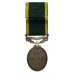 George VI Territorial Efficiency Medal - Pte. J. Robinson, Border Regiment