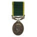 George VI Territorial Efficiency Medal (Militia) - Sjt. F.A.C. Brown, Royal Military Police