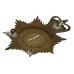 Cumberland & Westmoreland Constabulary Night Helmet Plate - Queen's Crown