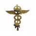 Royal Air Force (R.A.F.) Medical Branch Collar Badge - King's Crown