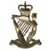 Royal Irish Rangers Anodised (Staybrite) Cap Badge