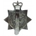 Surrey Constabulary Enamelled Star Cap Badge - Queen's Crown