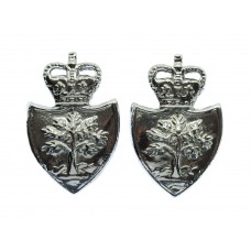 Pair of Worcestershire Constabulary Collar Badges - Queen's Crown