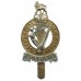 Queen's Royal Irish Hussars Anodised (Staybrite) Cap Badge