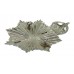 Bristol Constabulary Star Cap Badge (51) - King's Crown