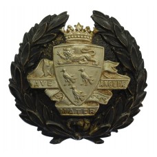 Canterbury City Police Black Wreath Helmet Plate