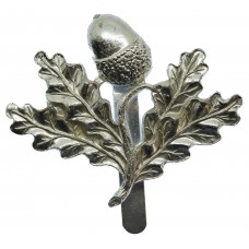 South Notts Hussars Anodised (Staybrite) Cap Badge
