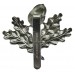 South Notts Hussars Anodised (Staybrite) Cap Badge