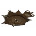 Great Yarmouth Borough Police Night Helmet Plate - Queen's Crown