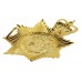 Civil Nuclear Constabulary Enamelled Helmet Plate - Queen's Crown